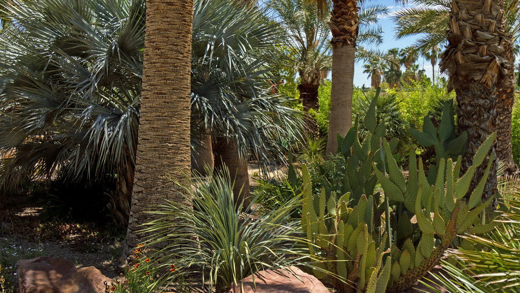 springs preserve (garden)3 Flickr