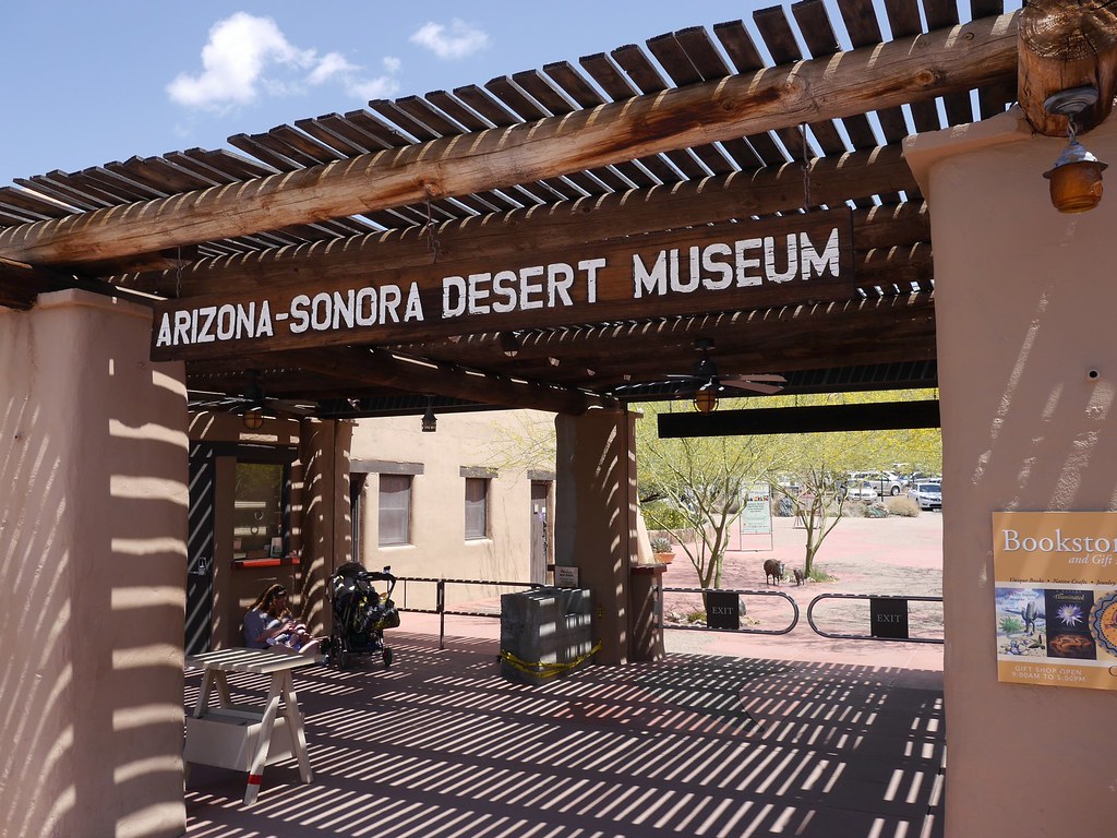 ArizonaSonora Desert Museum Mehr auf Flickr