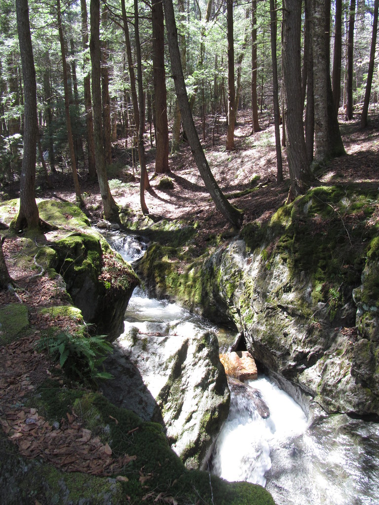 Savoy Mountain State Forest Savoy, Massachusetts Flickr