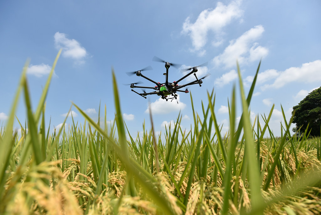 Precision Agriculture Meaning, Pros, Cons, Application, and Its Future