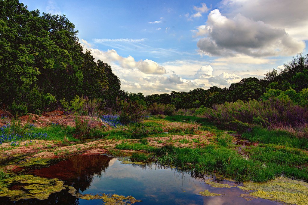 Willow City Loop, Texas Hill Country Dave Hensley Flickr