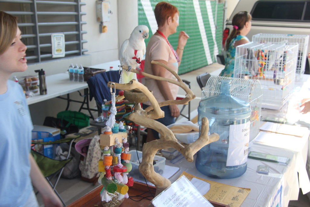 Cockatoo Florida Parrot Rescue joined us at MarineQuest fo… Flickr