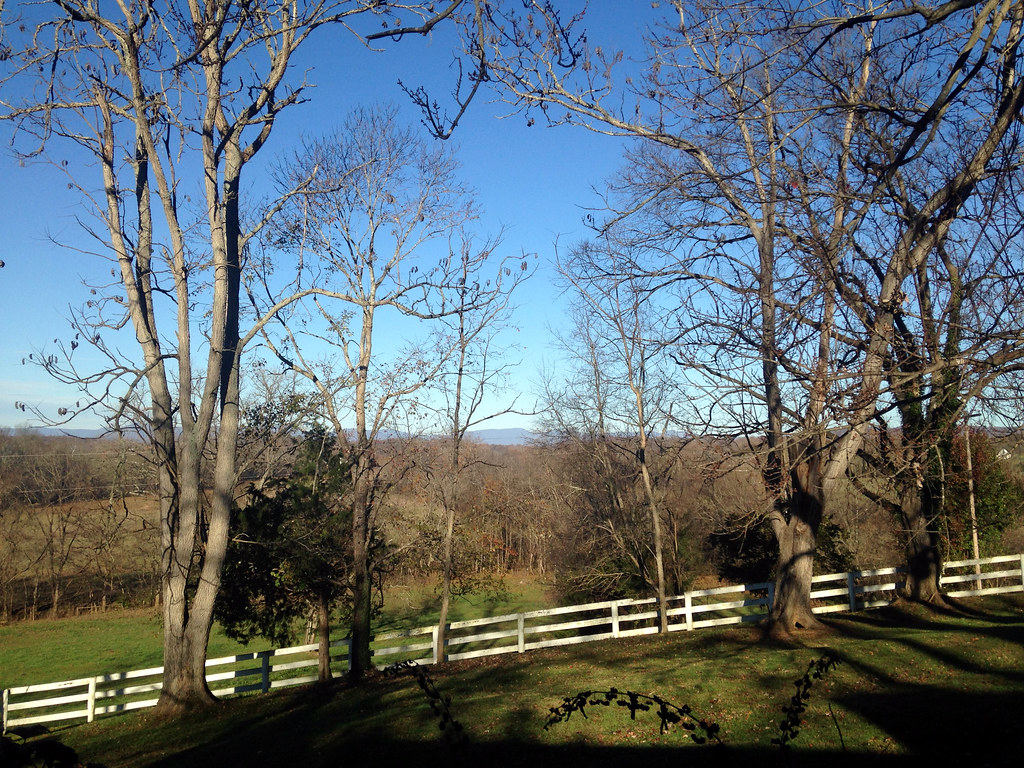 Elevation of Ruth Road, Ruth Rd, Madison, VA, USA Topographic Map