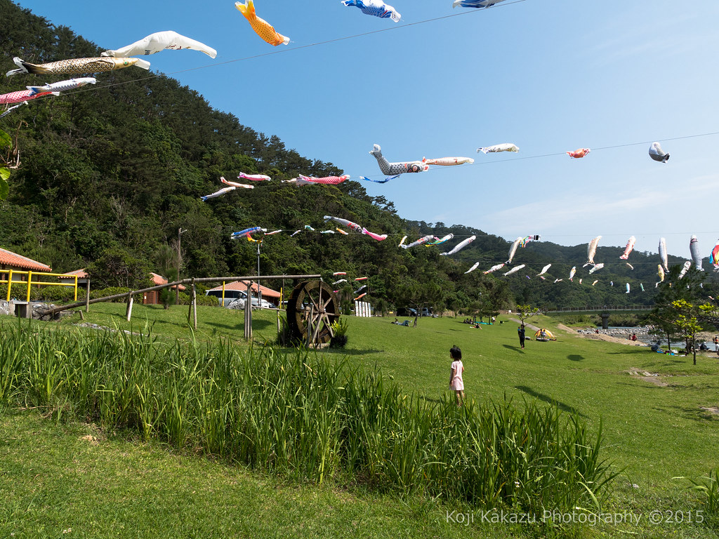 奥ヤンバル鯉のぼり祭り56 Koji Kakazu Photography Flickr