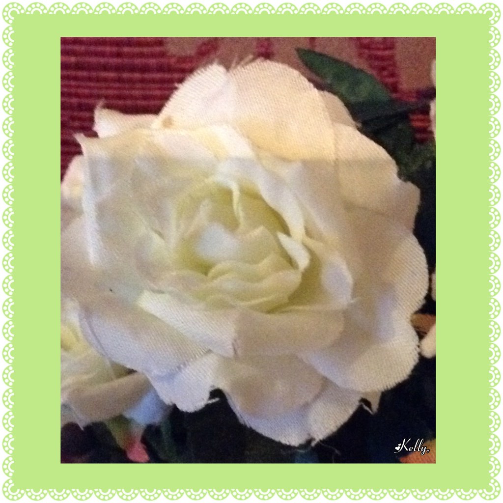 Je vous offre cette rose blanche pour votre week end 🌸 Flickr