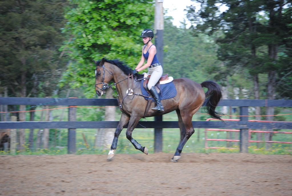 DSC_0545 Horse Quarters Farm Flickr