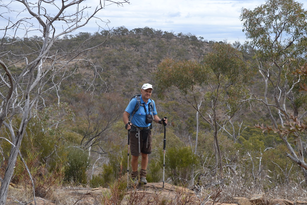 Cross country walk from Mt Killawarra Photo by Tony Marsh Murray Valley Bushwalkers Flickr
