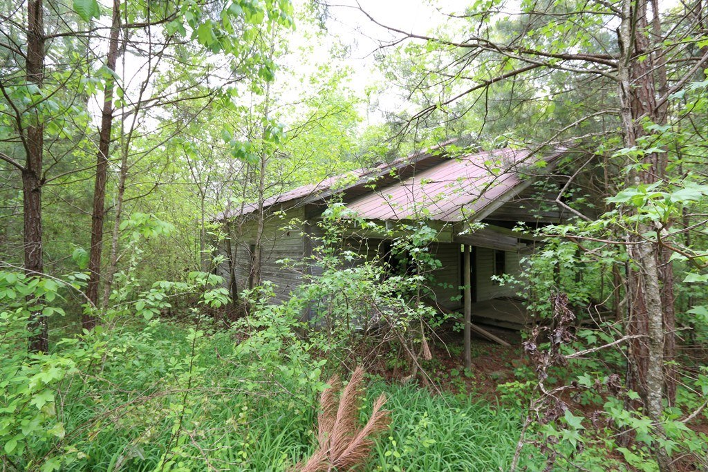 Alabama Land For Sale 229 Acres Blount Co, AL Skyball … Flickr