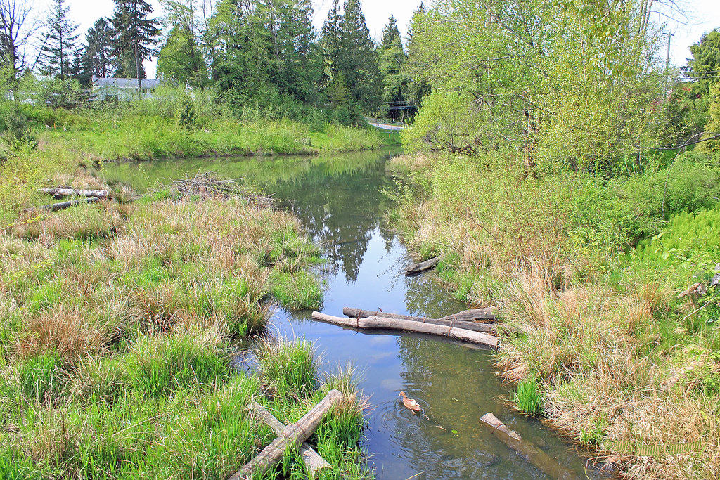 2015 Apr 18 Robson Creek in Robson Park 3326 Photo from a … Flickr