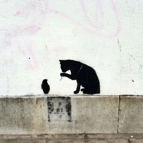 Black cat at Budgens, Cherry Hinton Road Cambridge Flickr