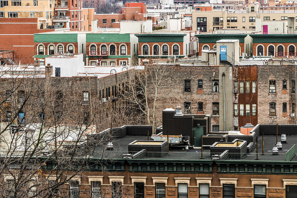 Harlem Rooftops Harlem Morningside Avenue Between 11… Flickr