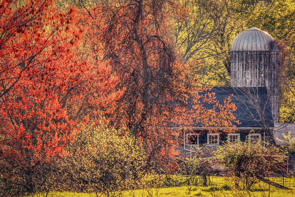 Pilot Grove Farm Pilot Grove Farm Stow, MA Follow me on … Flickr