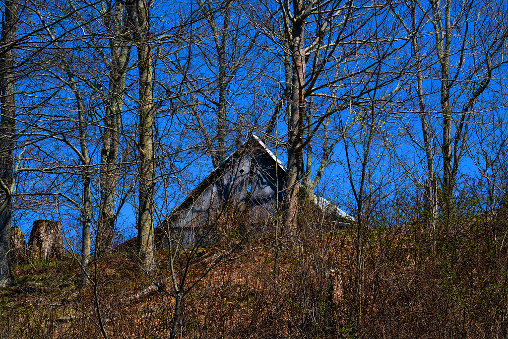 Elevation of Volga, WV, USA Topographic Map Altitude Map