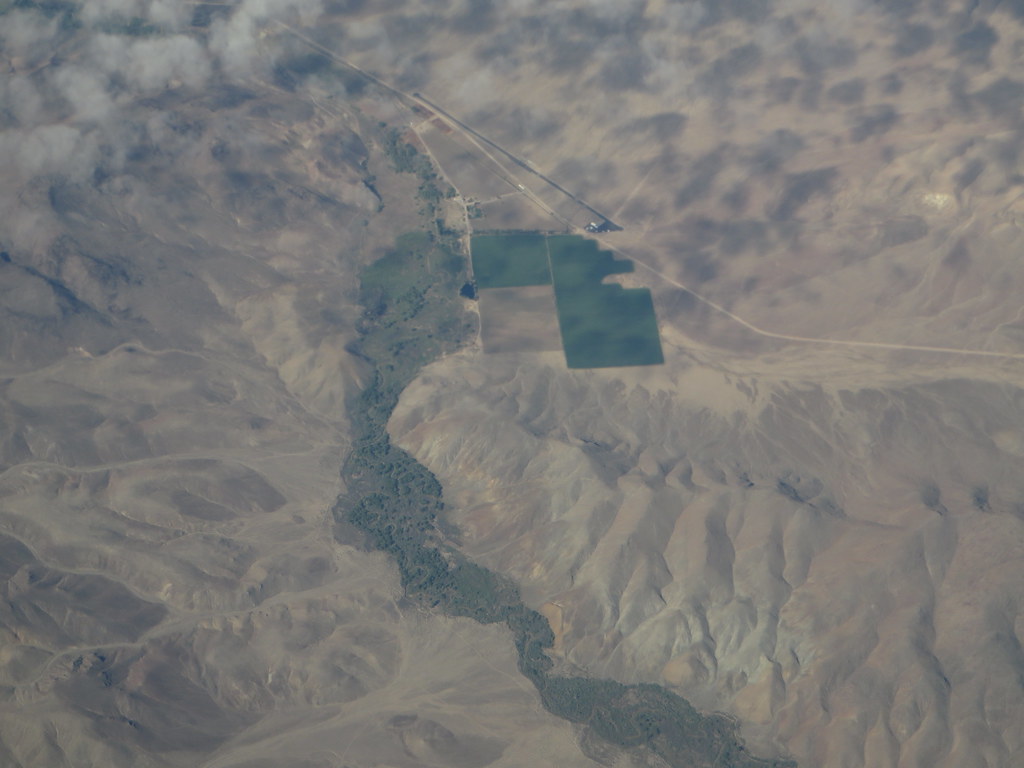 Walker River Near Smith Valley, Nevada The Walker River is… Flickr