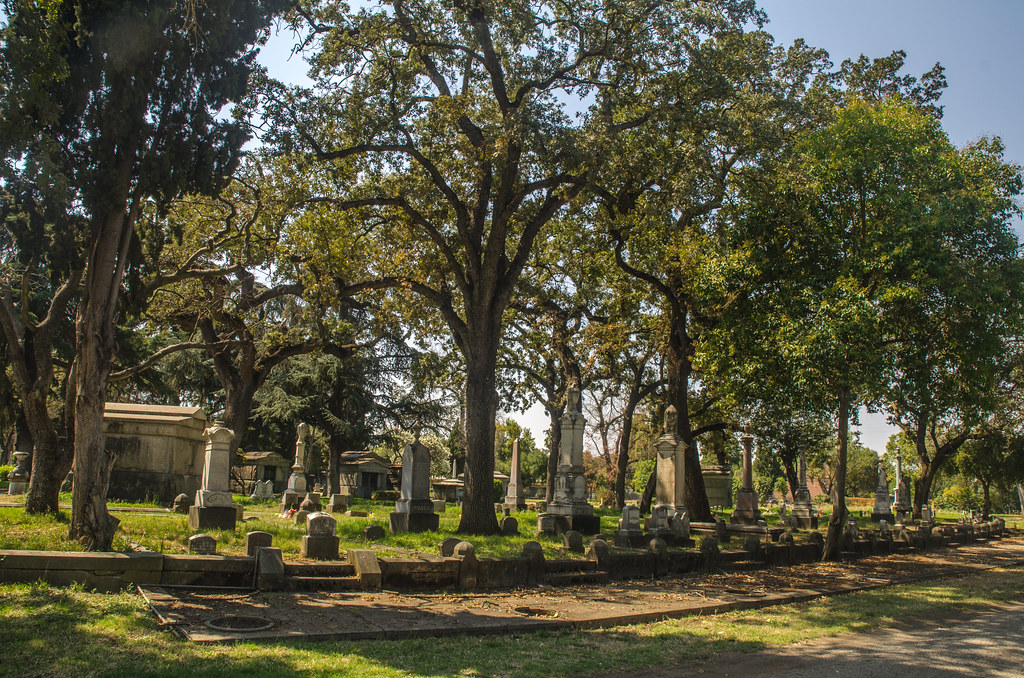 Stockton Rural Cemetery Stockton Rural Cemetery is a histo… Flickr