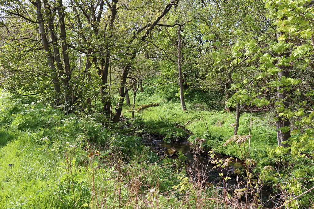Bucks Burn,Howes Road,Bucksburn,Aberdeen Alan Longmuir. Flickr