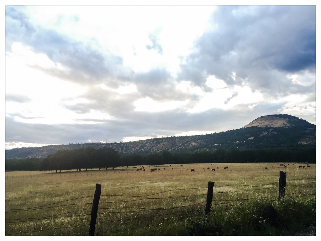 Elevation of Woodcutter's Way, Manton, CA, USA Topographic Map