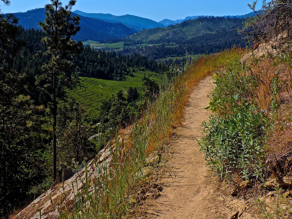 Sauer's Mt 2015 Flickr