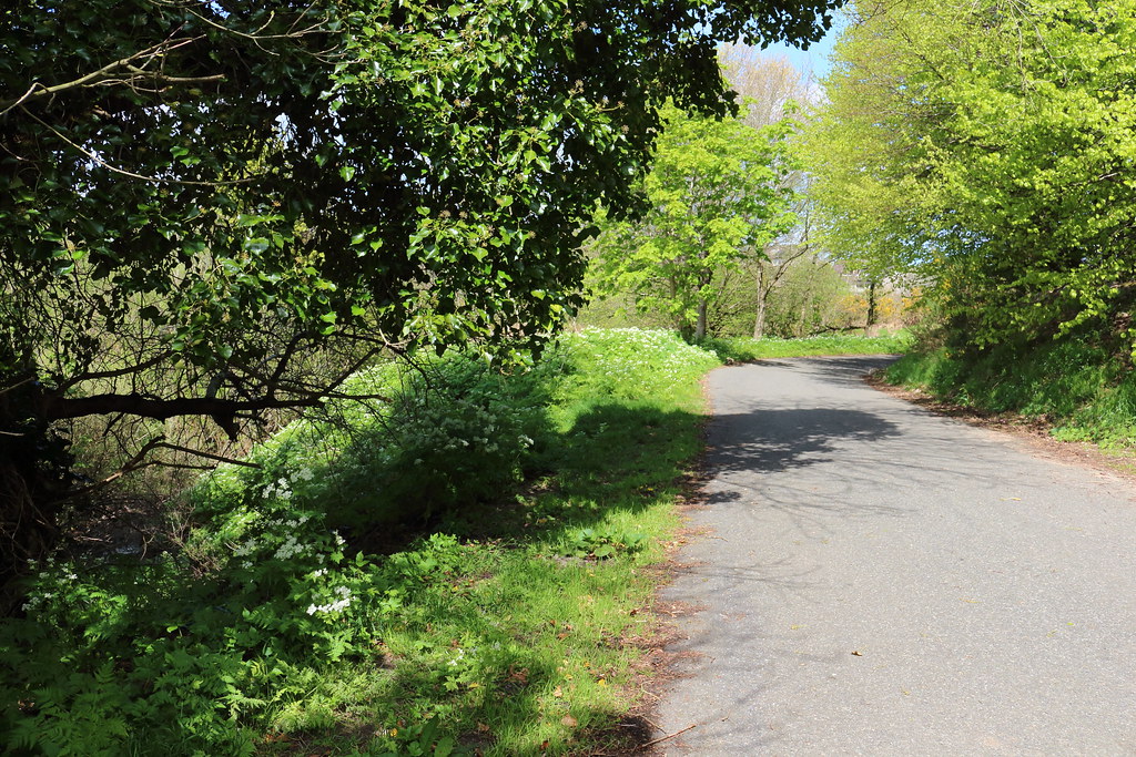 Howes Road,Bucksburn,Aberdeen Alan Longmuir. Flickr