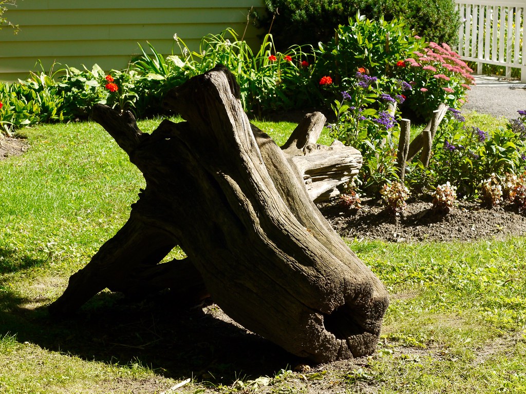 Stump 2014 Sovereign House, Bronte, Oakville, Ontario G2… Flickr