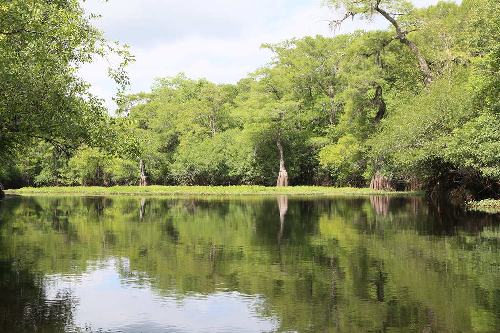 Ebenezer Creek near Rincon, 076B6022 Bruce Tuten Flickr