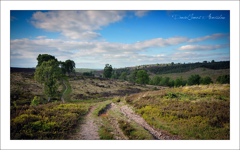 Sherbrook Valley, Cannock Chase Daniel James Flickr