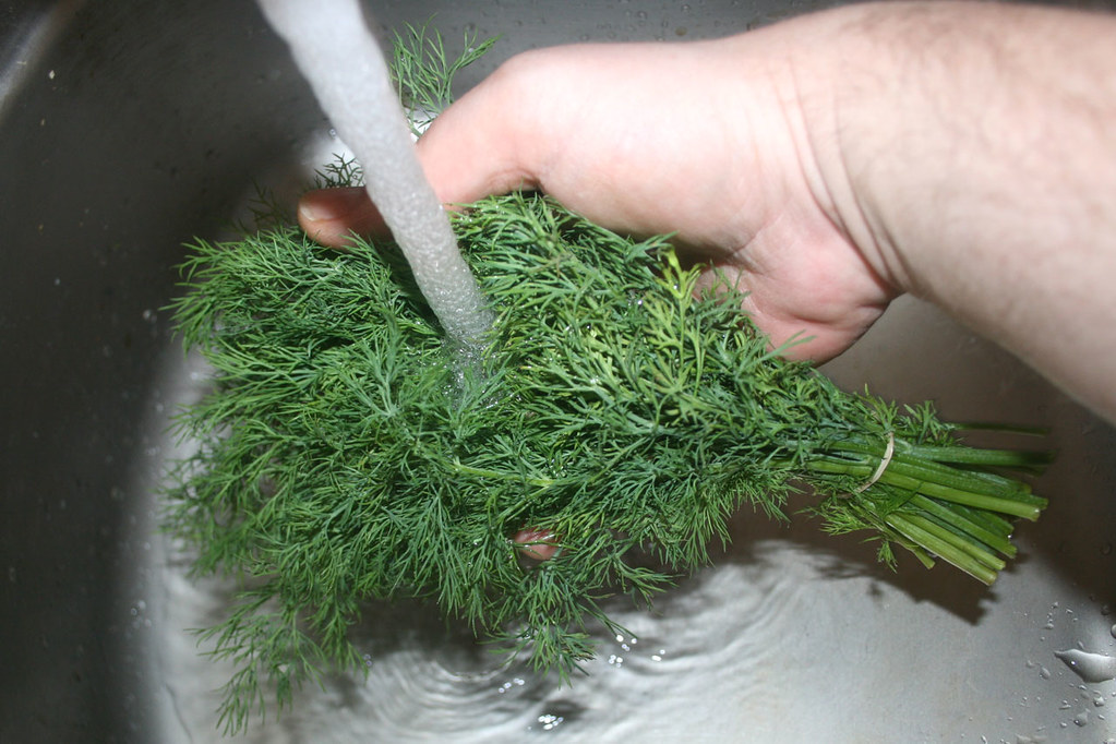 16 Dill waschen / Wash dill [Rezept / Recipe] JaBB Flickr