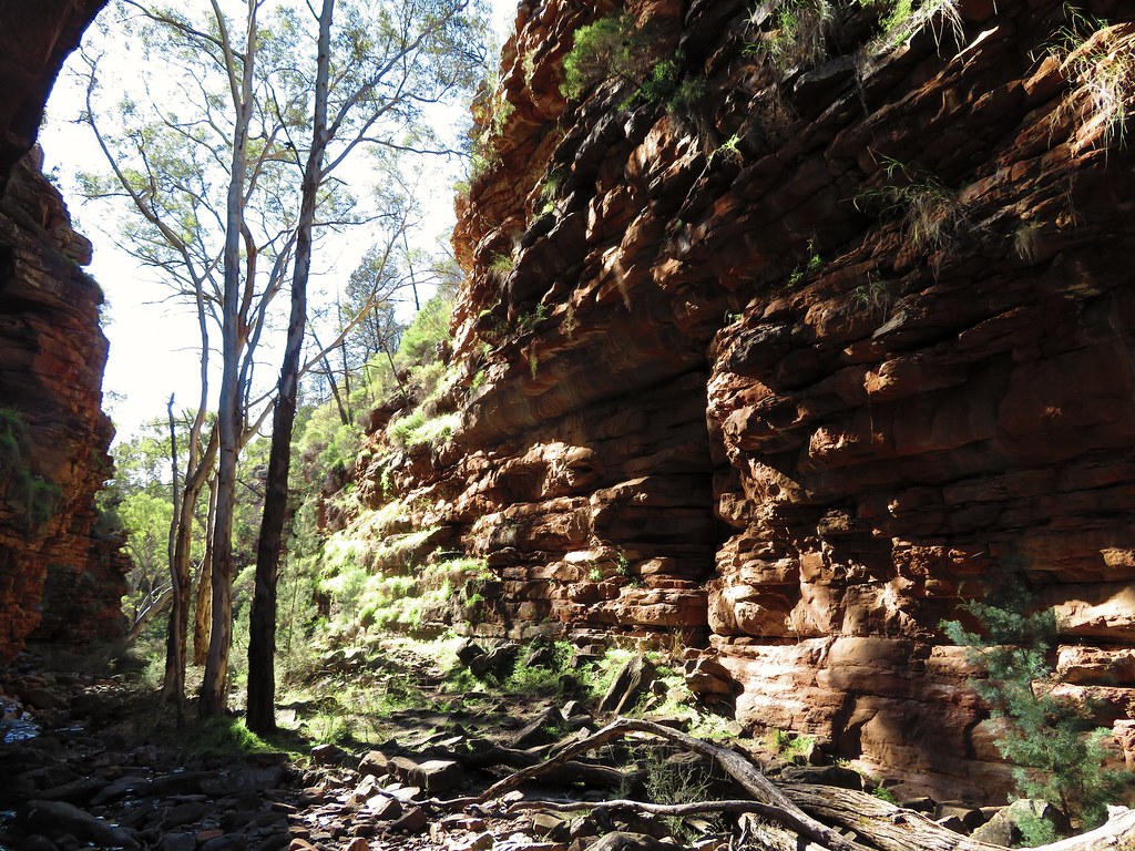 Alligator Mt. Remarkable National Park, South Austr… Flickr