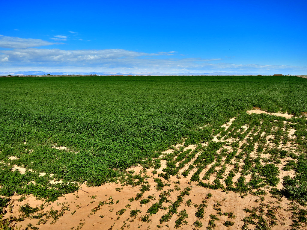 Westmorland, California Paul Vincent Flickr
