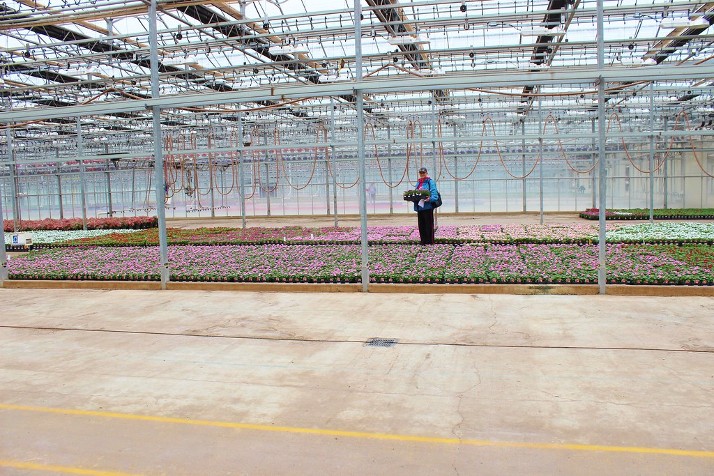 Catoctin Mountain Growers 010 Bernie Rogers Flickr