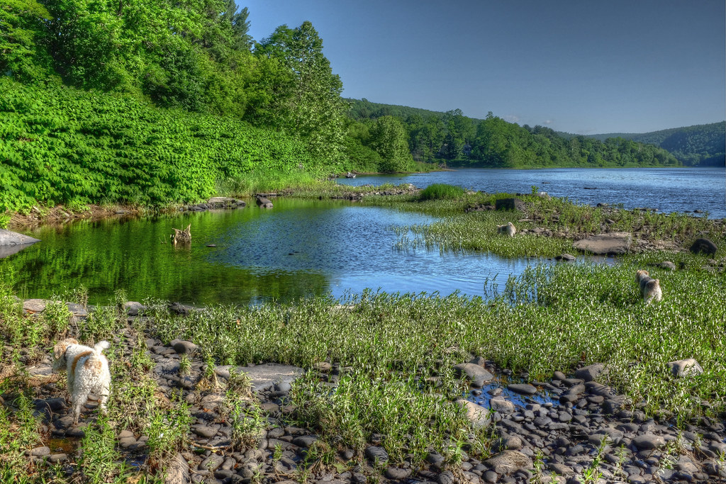At the Roebling Inn Riverfront Sunday morning, Lackawaxen,… Flickr