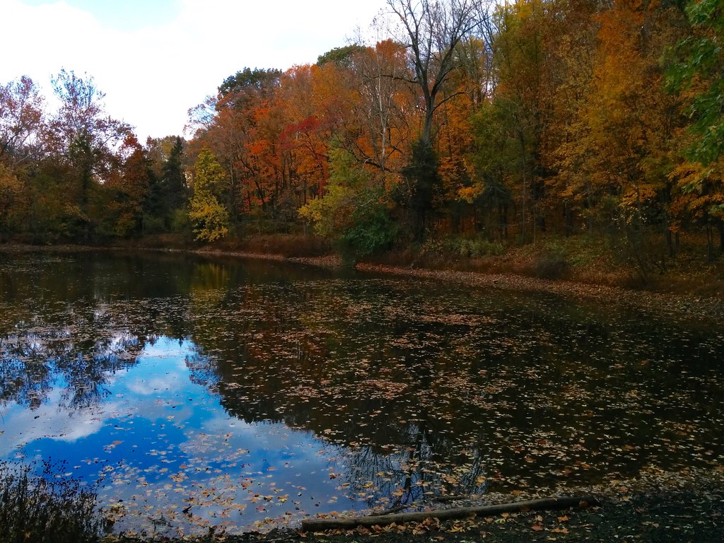 Pottsgrove Pa Weather at Lucille Fulton blog