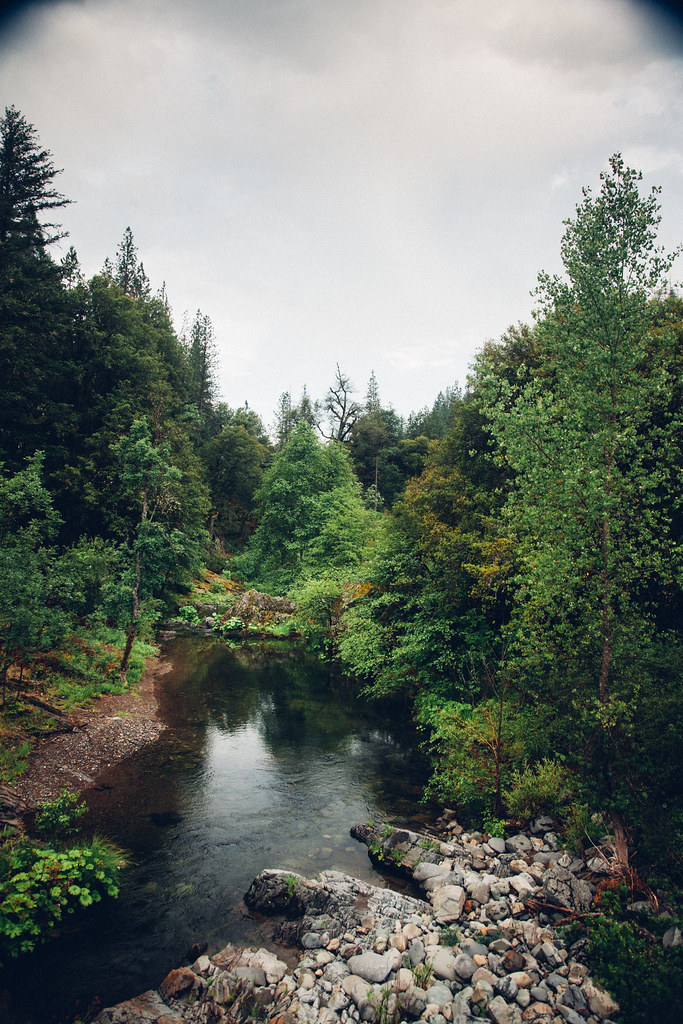 Clear Creek, French Gulch, CA Clear Creek dani nomura Flickr