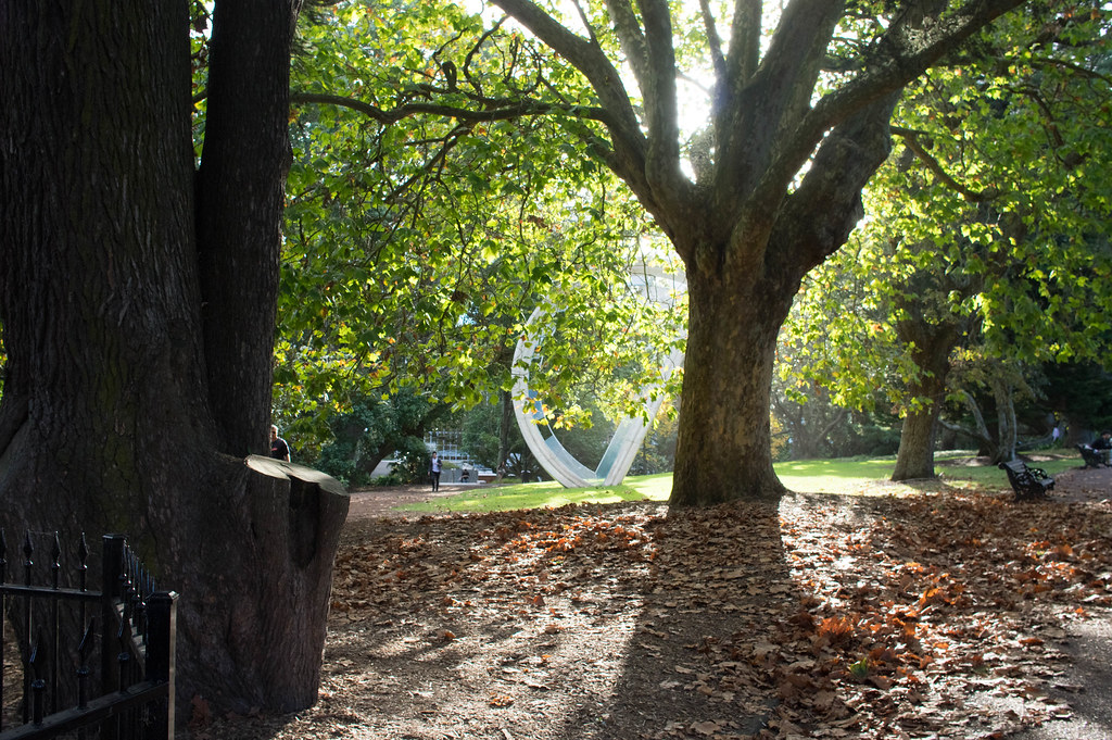 Untitled Auckland CBD, New Zealand Kohei Hasegawa Flickr