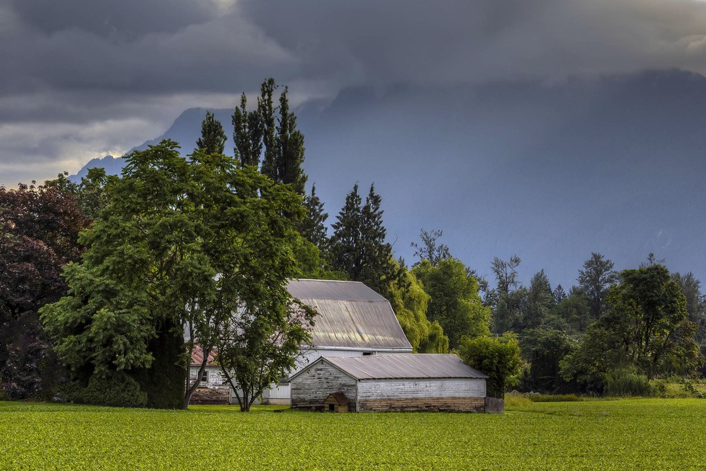 Farm Chilliwack, B.C. 7260 Paul Rioux Flickr