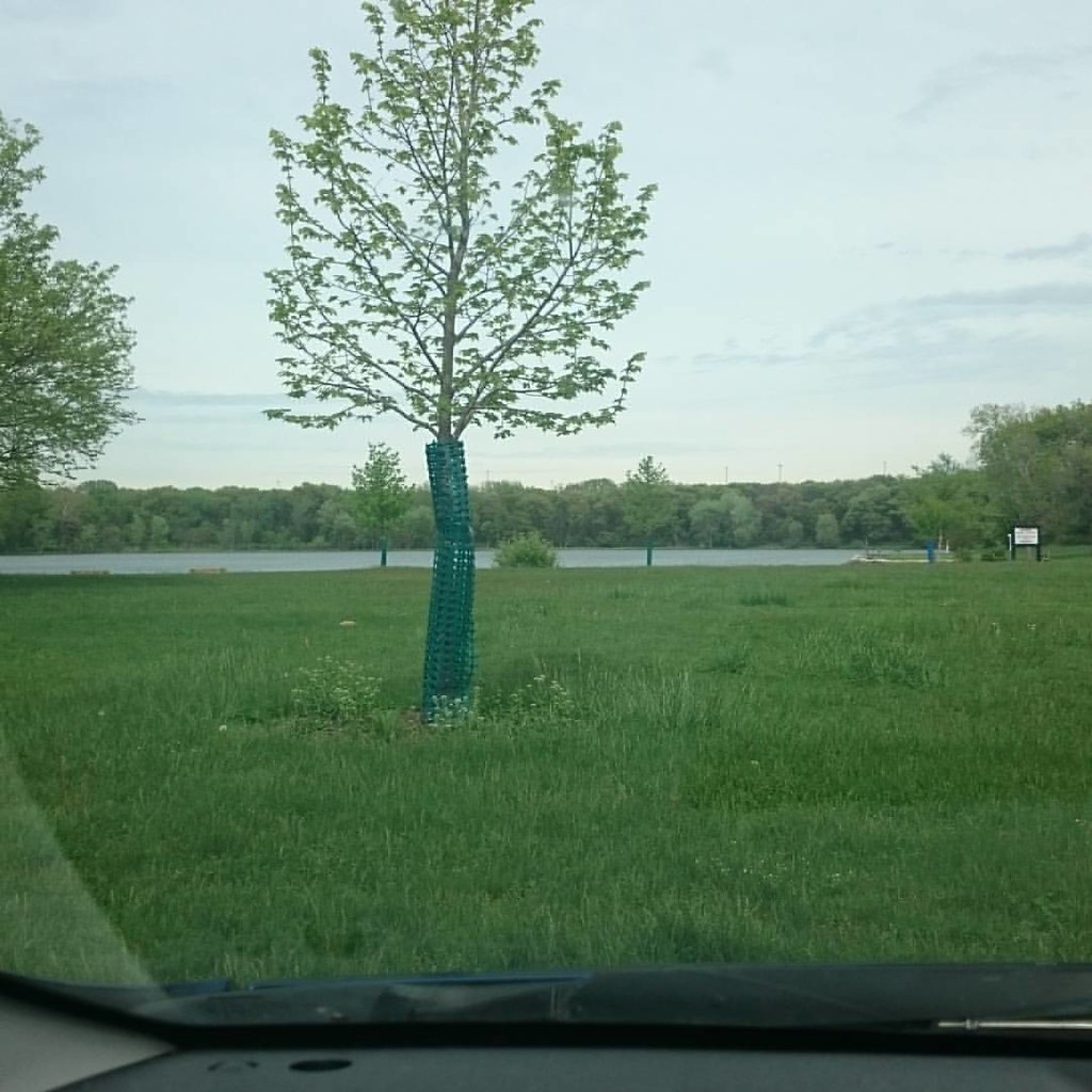 wampum Lake in Thornton illinois Fred McMurray Flickr