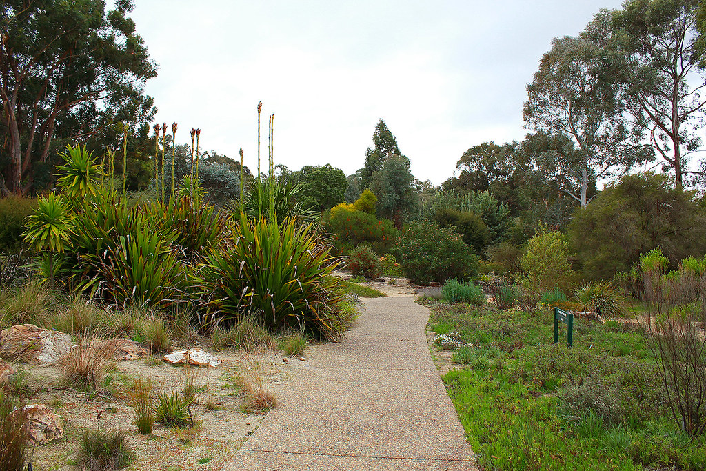 Canberra Botanic Garden in winter ⋆