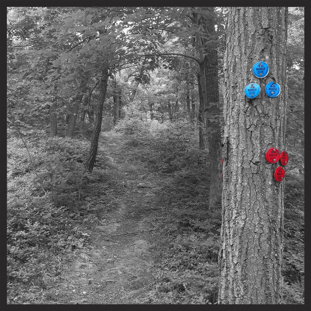 Charcoal Burners Trail Wiccopee Trail trailhead I'm on m… Flickr