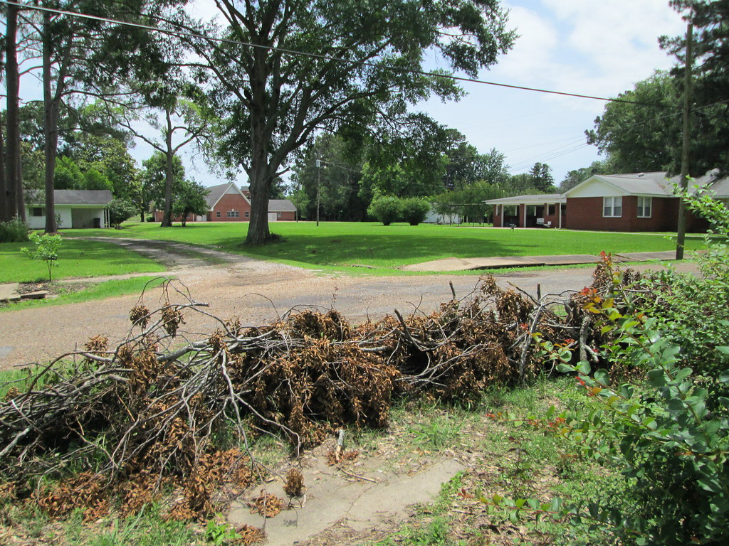 may 2015 storm branches Flickr