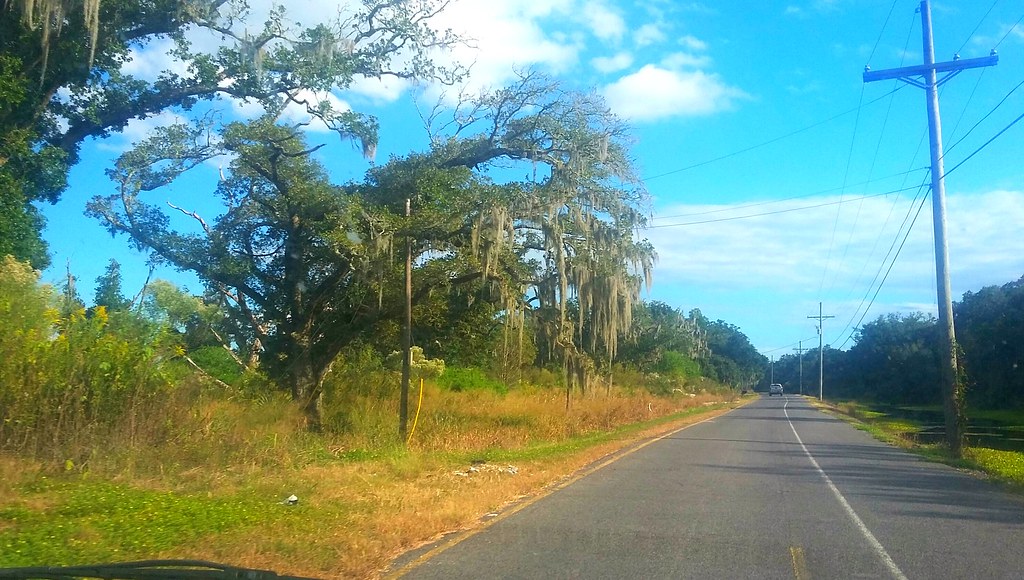 Heading to Shell Beach , Louisiana peaceswirl Flickr