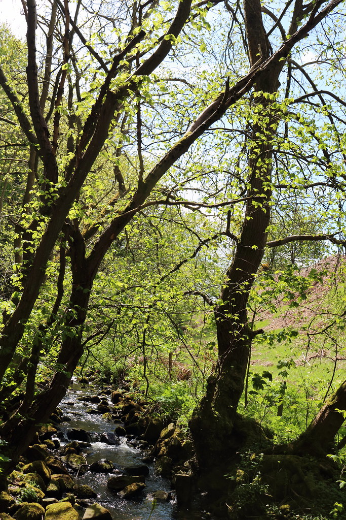 Bucks Burn,Howes Road,Bucksburn,Aberdeen Alan Longmuir. Flickr