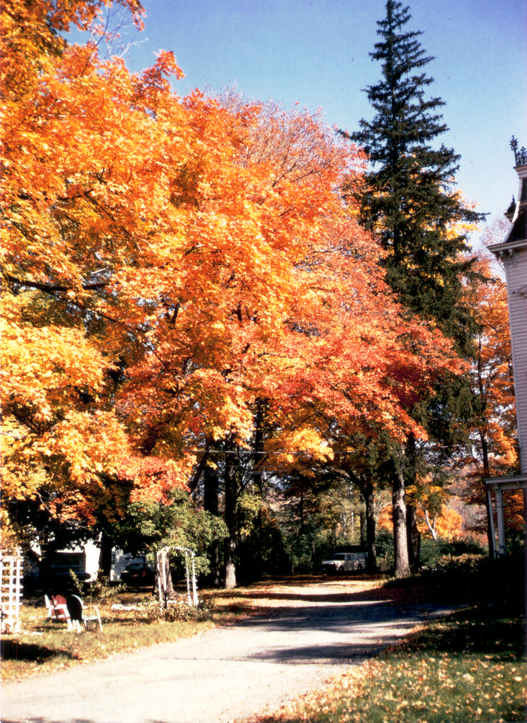 Ansonia Lodge, October 1966 Mohegan Lake, NY, USA. One of … Flickr