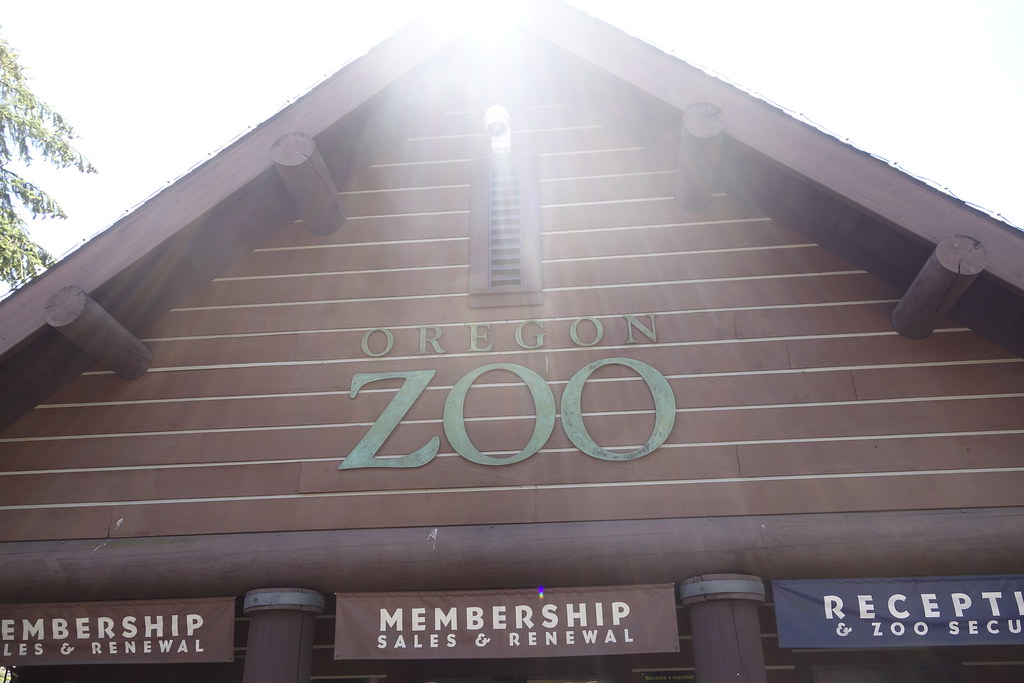 Clio at the Oregon Zoo Flickr