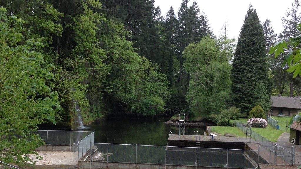 0428201521 View of the Tenino Sandstone Quarry Pool at th… Flickr