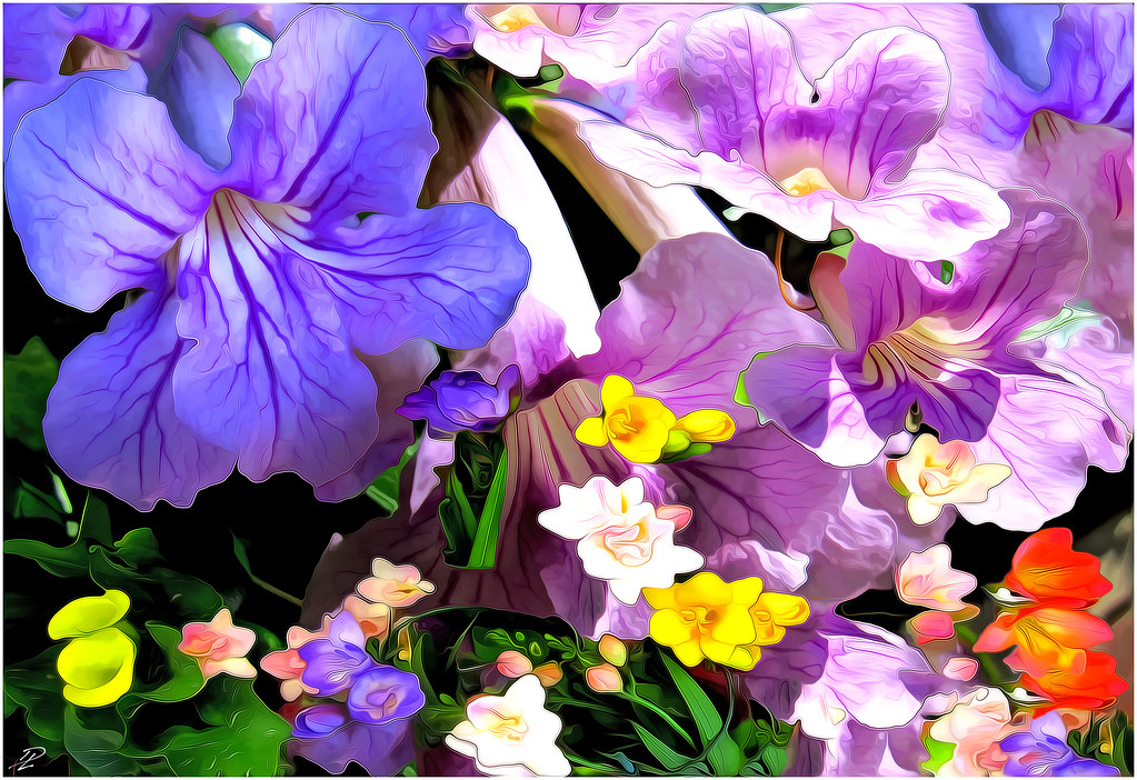 todays flowers flowers sunnyvaledave Flickr