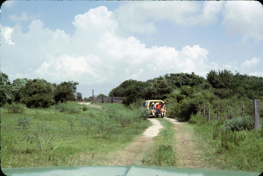 TAS Field School, Galveston, Texas 1978.06.12 04809 The M… Flickr