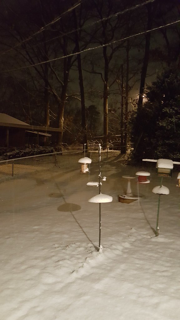 Snowing hard in Sawmills, NC Snowing 1717 I remember whe… Flickr