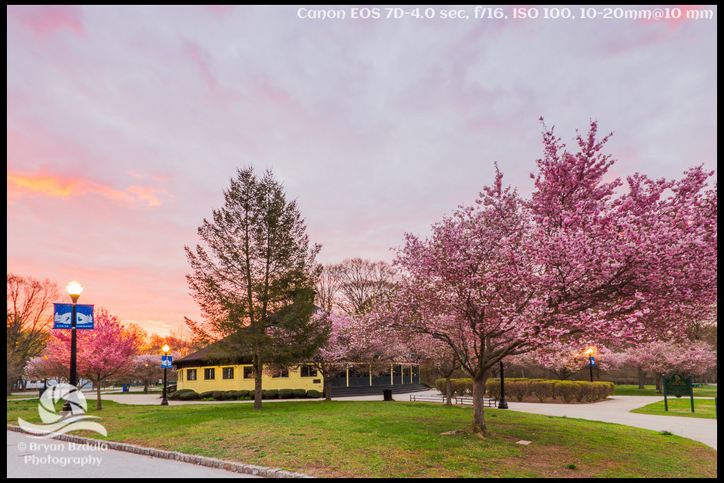 Slater Park Sunrise2015050316Edit Cherry Blossoms, to me… Flickr