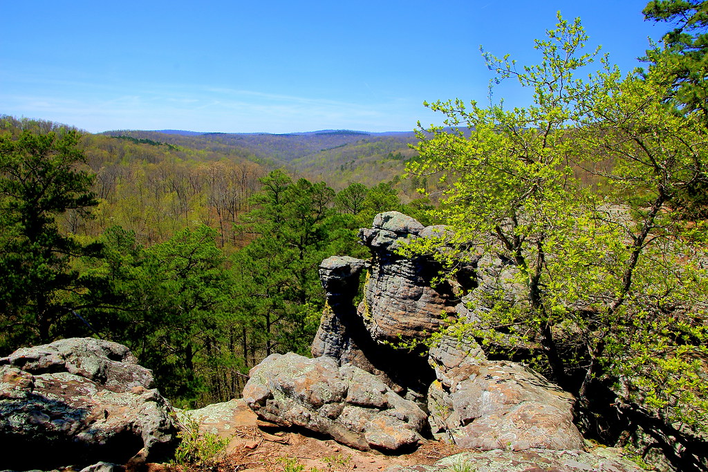 Along King Bluff Loop Trail, Pedestal Rocks Scenic Area … Flickr