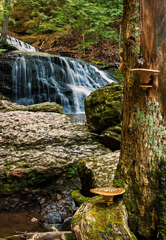 Elevation of Shenango Rd, New Galilee, PA, USA Topographic Map